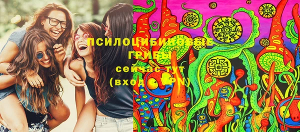 меф Богородицк